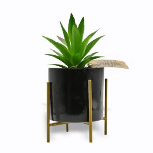 In Bloom Decor Plant In Gold Standing Frame Assorted Colours