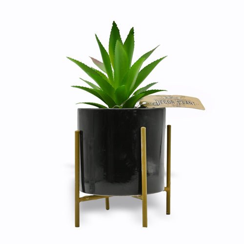 In Bloom Decor Plant In Gold Standing Frame Assorted Colours