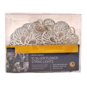 Cole & Bright 10 Silver Flower String Lights