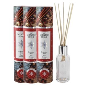 Ashleigh & Burwood Christmas Spice Diffuser 100ml Assorted Packs