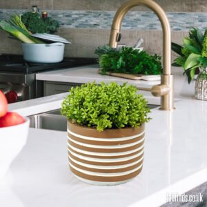 Brown Trendy Striped Pot Green Artificial Plant 16cm