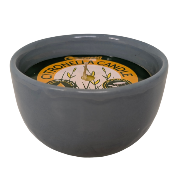 Citronella Ceramic Candles Assorted Packs