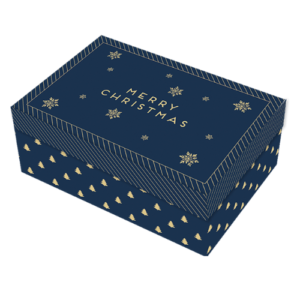 Christmas Rectangle Gift Boxes 12cm x 9cm Assorted Festive Designs