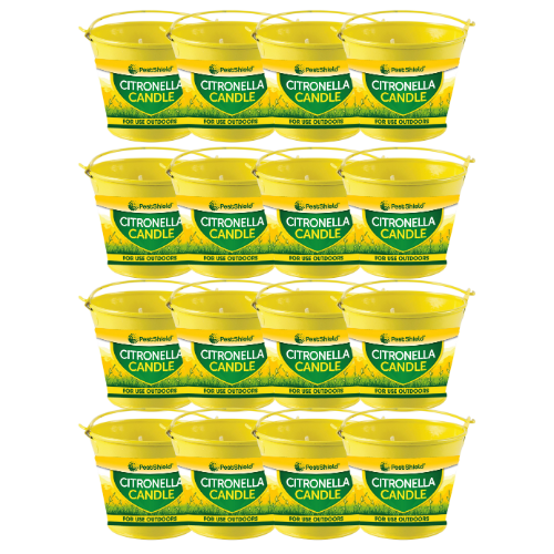 Citronella Metal Bucket Candle 8cm — Pack of 12