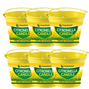 Citronella Metal Bucket Candle 8cm Assorted Packs