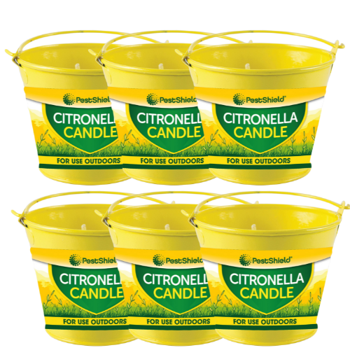 Citronella Metal Bucket Candle 8cm — Pack of 6