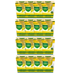 Citronella Outdoor Candle Assorted Packs