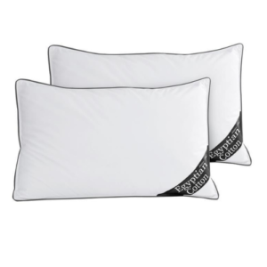 2 Pack Egyptian Cotton Pillowcases Ultra Soft Assorted Colours