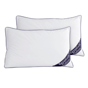 2 Pack Egyptian Cotton Pillowcases Ultra Soft Assorted Colours
