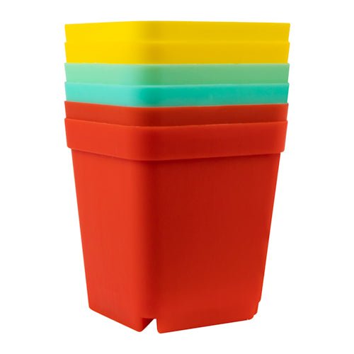 Mini Square Colour Plant Pots 6 Pk 7cm