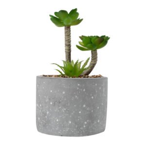 The Greenery Artificial Succulent Plant