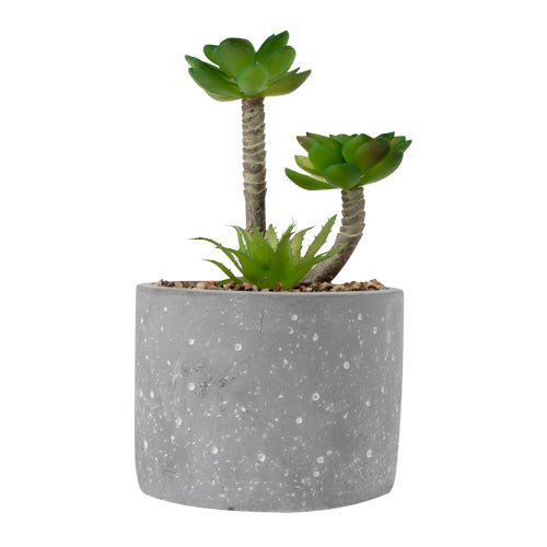 The Greenery Artificial Succulent Plant