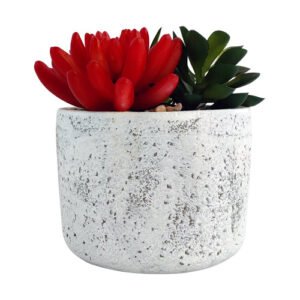 Modern Trio Pot Artificial Succulent Plant
