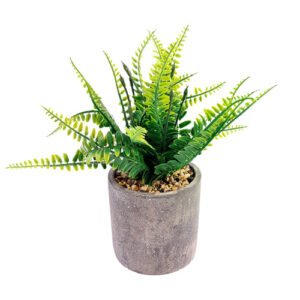 The Greenery Artificial Succulent Fern Pot Plant