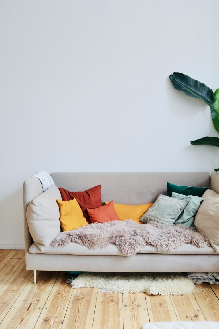 Cosy sofa with cushions illustrating the HODEALS sofa care and maintenance guide. Photo by Julia on Unsplash.