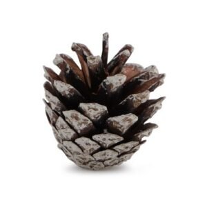 Christmas Pinecones Decorations 15 Pk