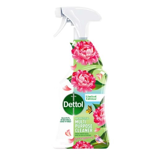 Dettol Antibacterial Multi Purpose Cleaner Garden Symphony 750ml