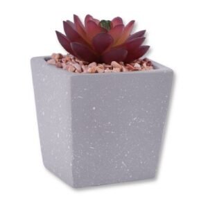 Faux Succulent Decorative Pastel Pot 10cm Assorted Colours