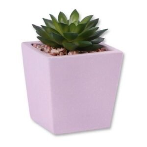 Faux Succulent Decorative Pastel Pot 10cm Assorted Colours