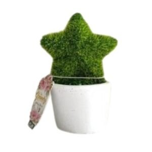 The Greenery Mini Artificial Tree Star