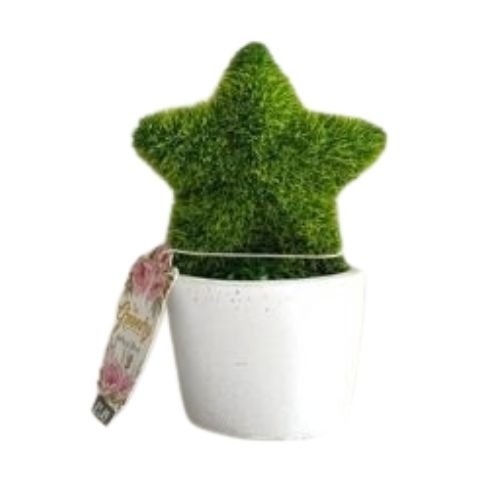 The Greenery Mini Artificial Tree Star