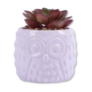 In Bloom Succulent Decor Artificial Plant Pot Aeonium