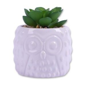 In Bloom Succulent Decor Artificial Plant Pot Aeonium