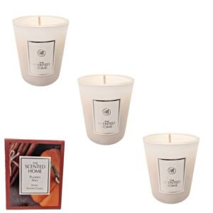 Ashleigh & Burwood Pumpkin Spice Votive Candle 70g Assorted Packs