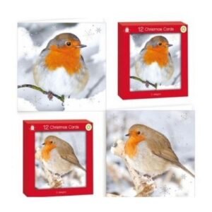 Robin Christmas Cards 12 Pk Assorted Designs