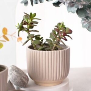 Sass & Belle Grey Groove Large Planter