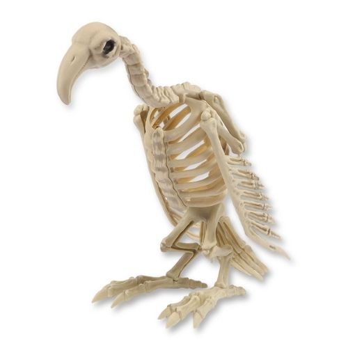 Halloween Vulture Skeleton Standing Decoration