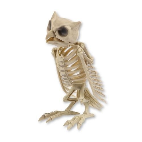 Halloween Owl Skeleton Standing Decoration